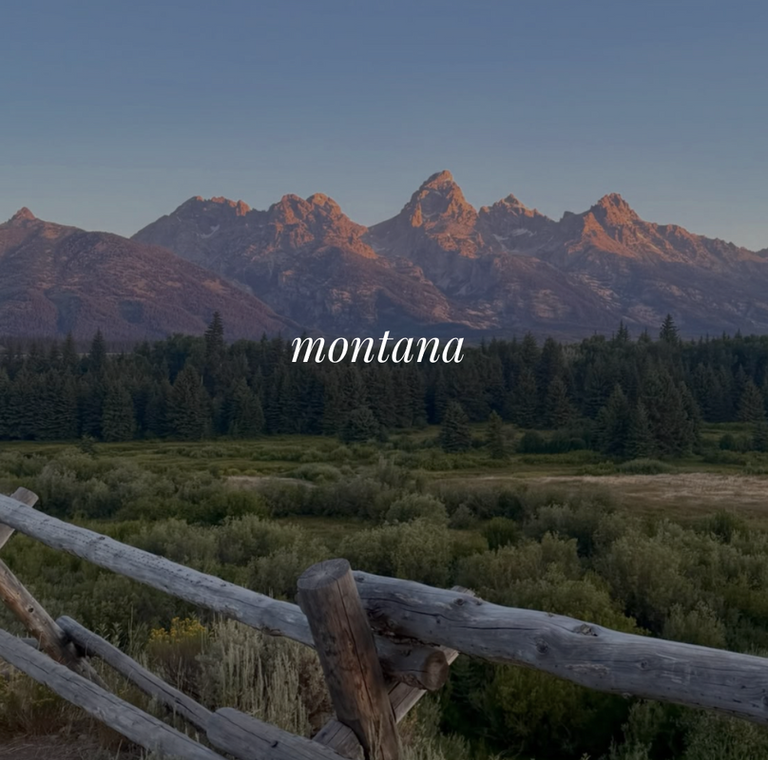 Montana style guide