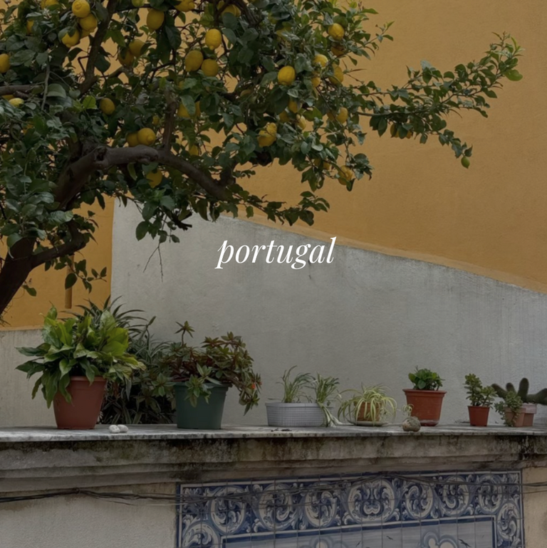 Portugal style guide